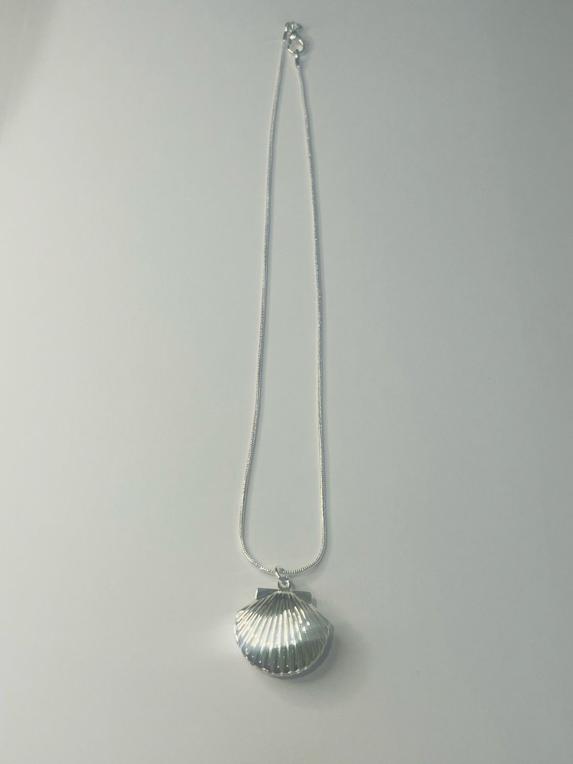 The Seashell Locket