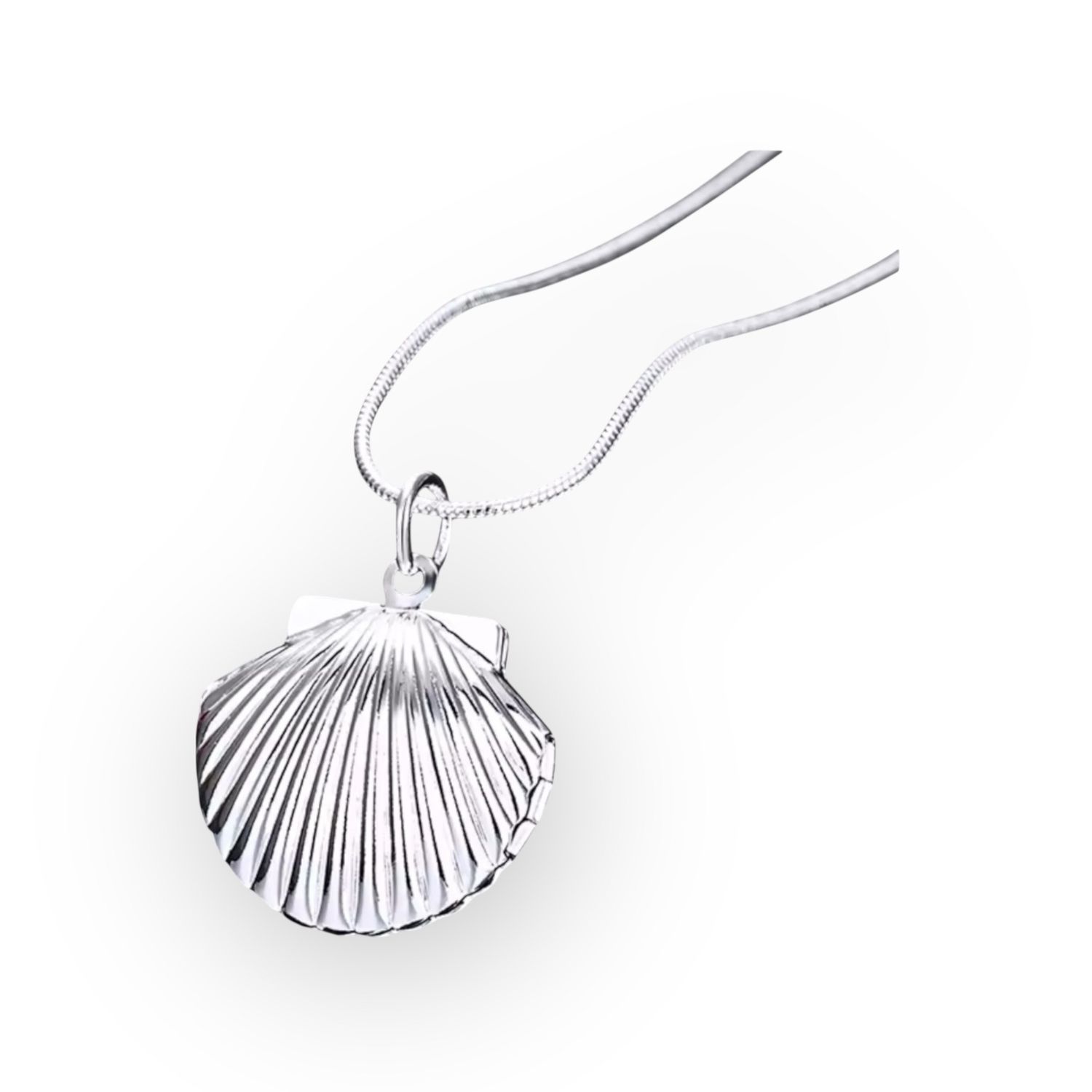The Seashell Locket