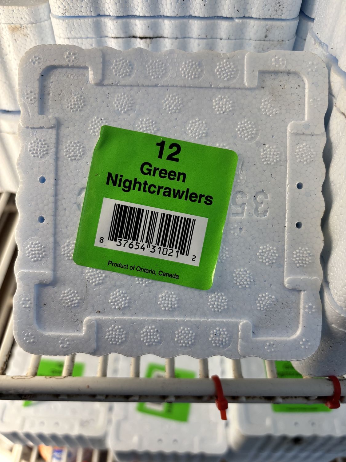 Green Nightcrawlers 1 doz