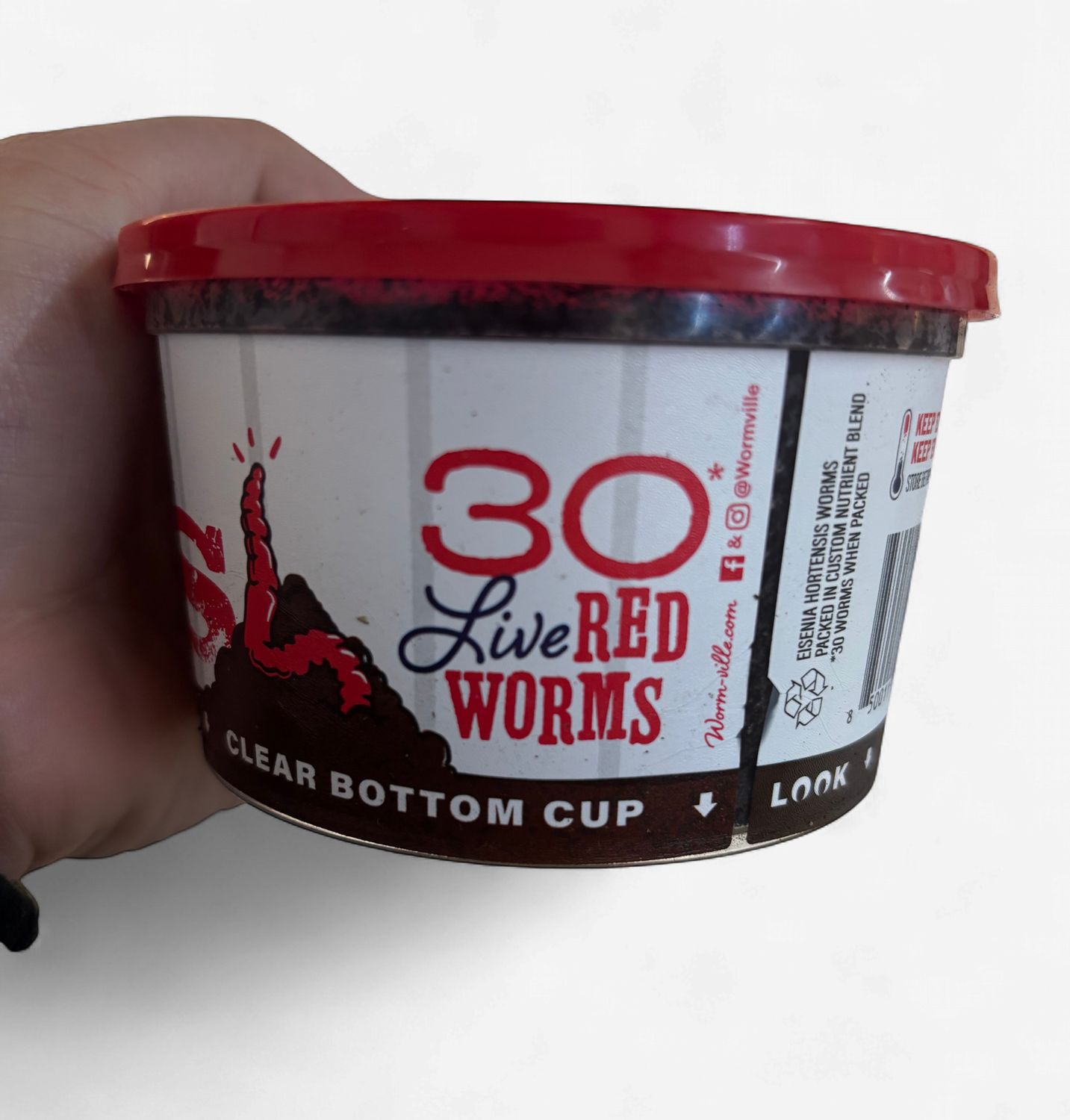 Red Worms 30ct