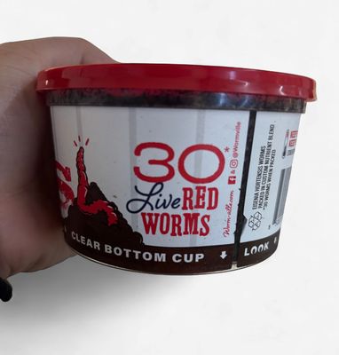 Red Worms 30ct