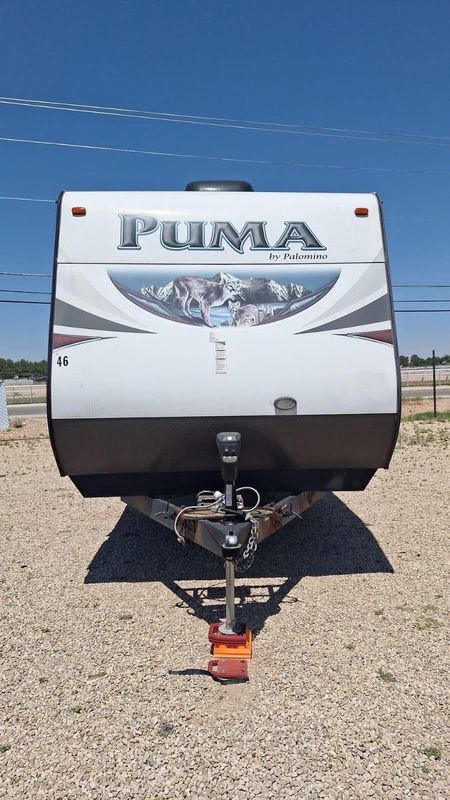 2015 Palomio puma