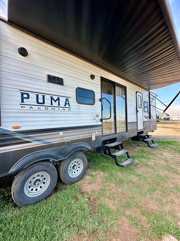 2023 Palomio puma