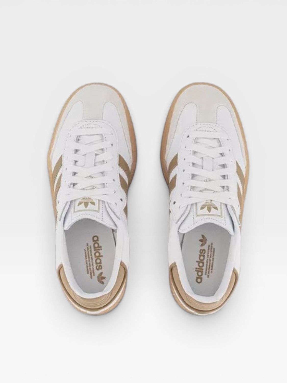 Adidas Sambae (Cloud White/Off White/Cardboard)