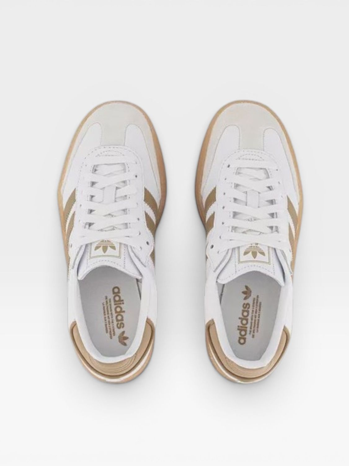 Adidas Sambae (Cloud White/Off White/Cardboard)