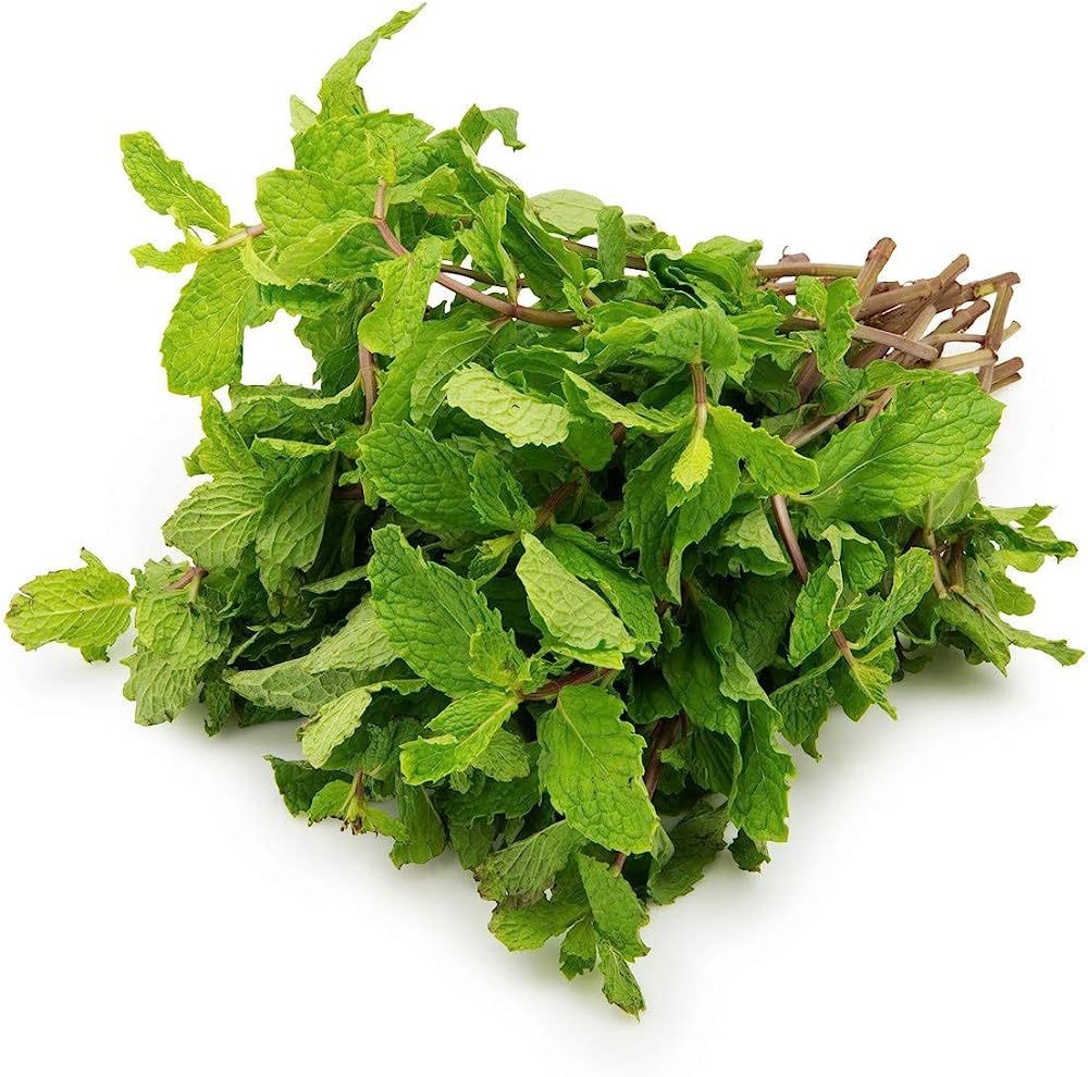 Mint Bunch