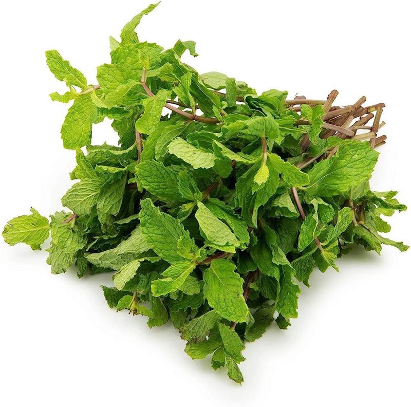 Mint Bunch
