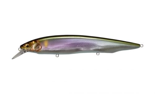 Megabass Kanata, Color: Wagin Setsuki Ayu
