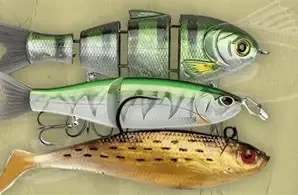 Swimbait