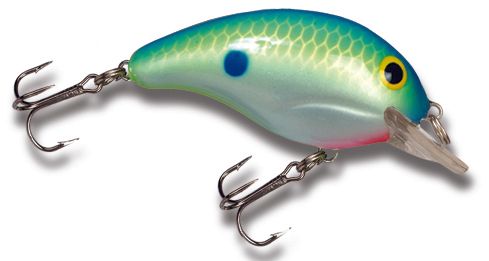 Bandit Series 100, Color: Citrus Shad