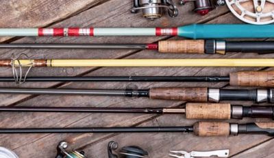 Rods