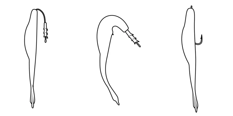 Core Tackle Scamper Rig 3pk