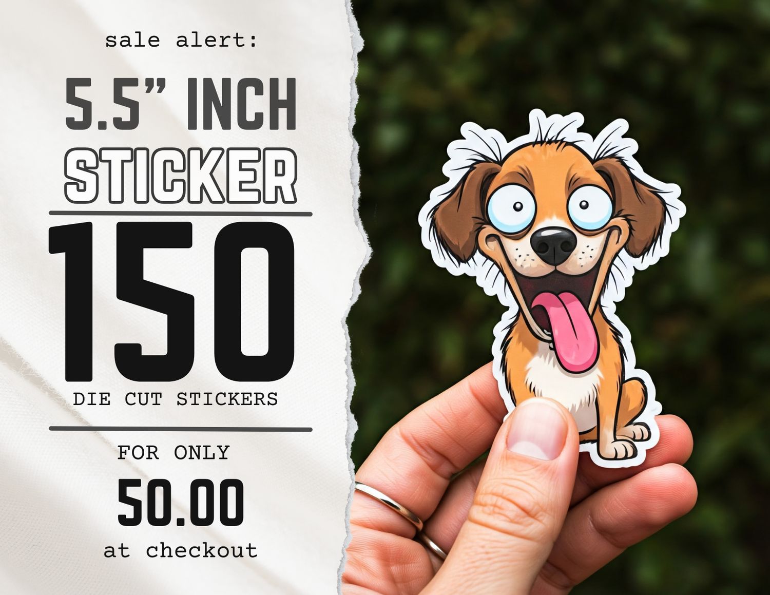 5.5&#39;&#39; INCH - 150  STICKER PROMO