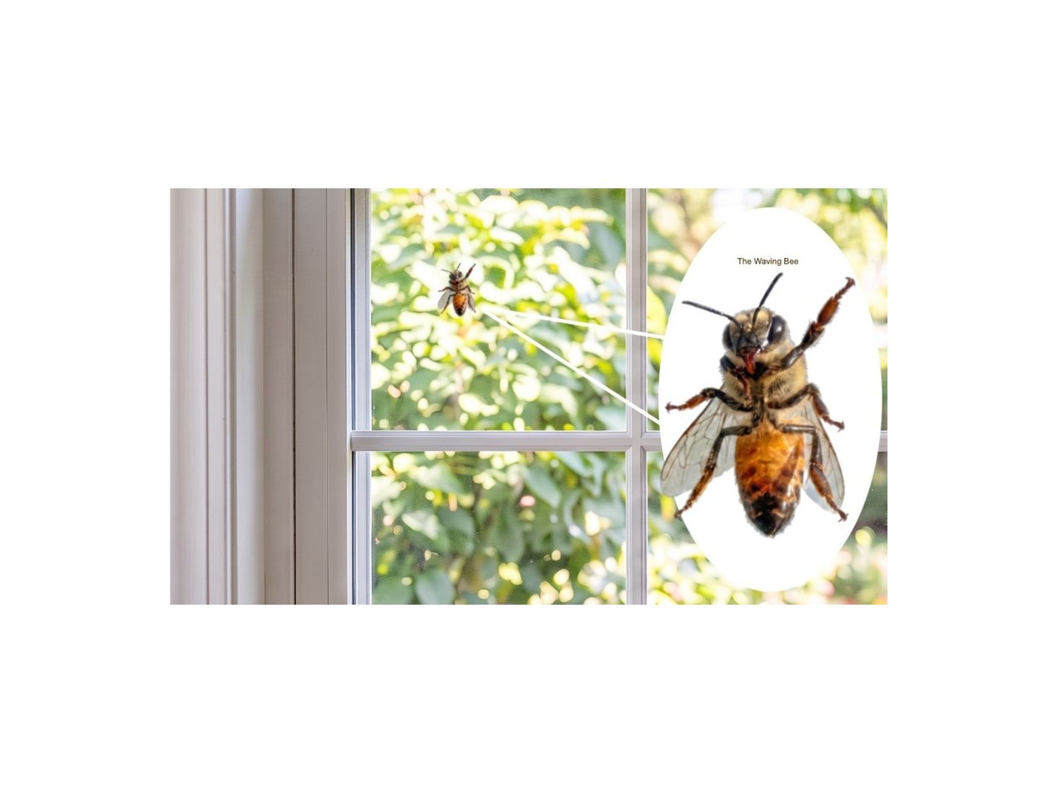 The Waving Bee decal