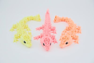 Baby Glow Rose Dragon Baby Glow Rose Dragon