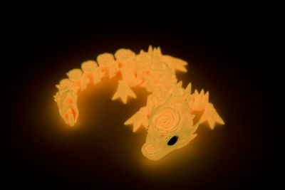 Baby Glow Rose Dragon