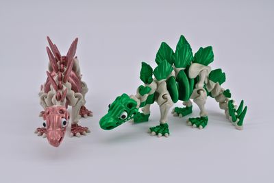 Skeletal Stegosaurus Dinosaur