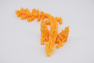 Adult Phoenix Dragon Small