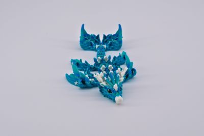 Baby Coral Dragon Baby Coral Dragon