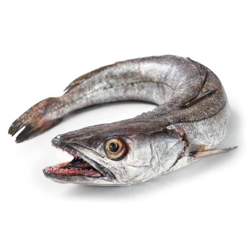 Merlu - portion