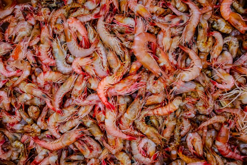 Crevettes – Douces et savoureuses
