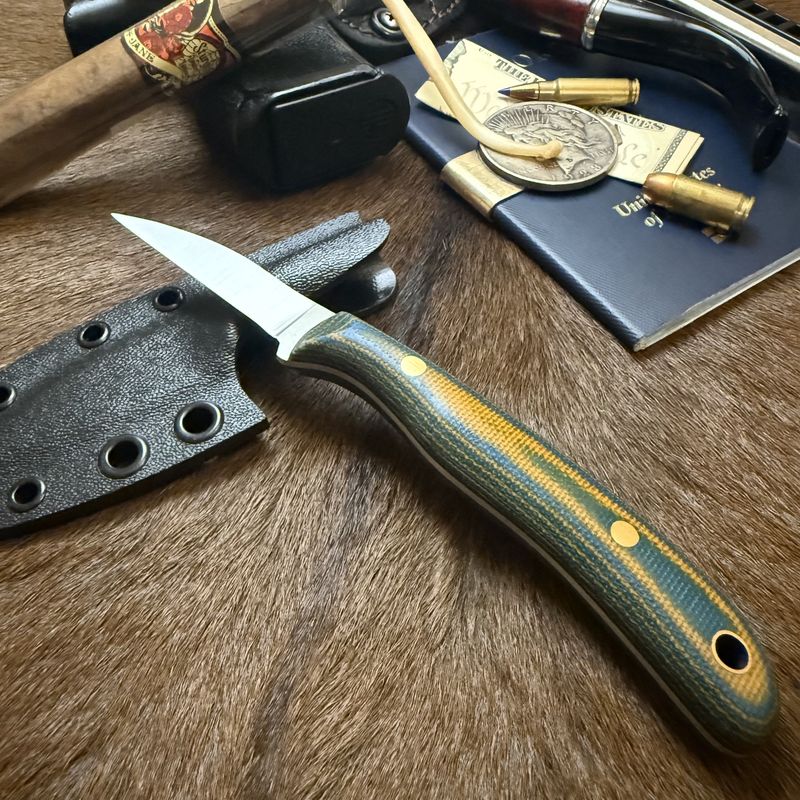 RK Wartburg Whittler Skink