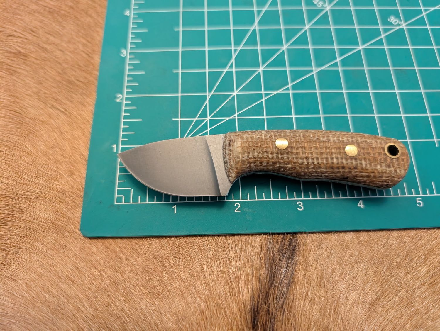 RK Atom Deer Burlap  Acid