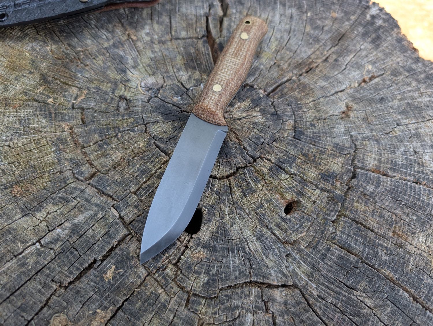 RK Cane Creek Deer Scandi