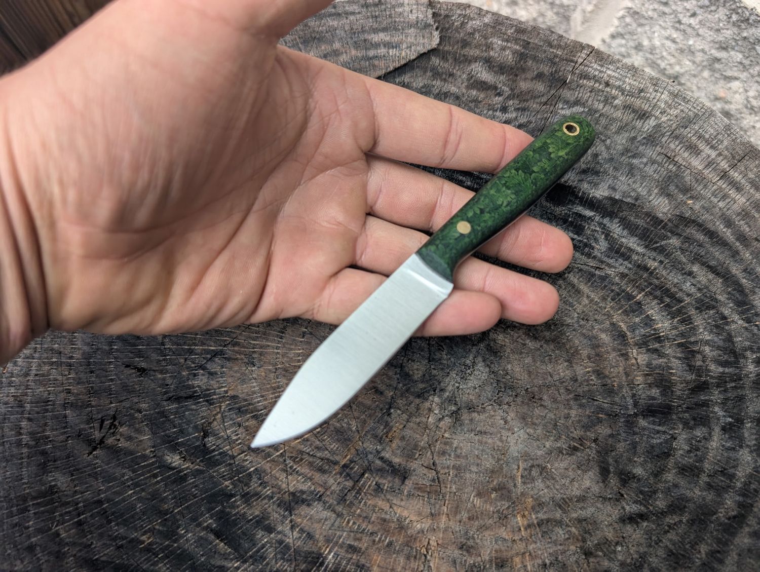 RK Paring Forest Fern AEBL