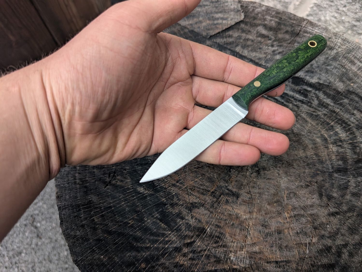 RK Steak Forest Fern AEBL