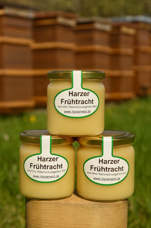 Frühtracht Honig aus dem Harz