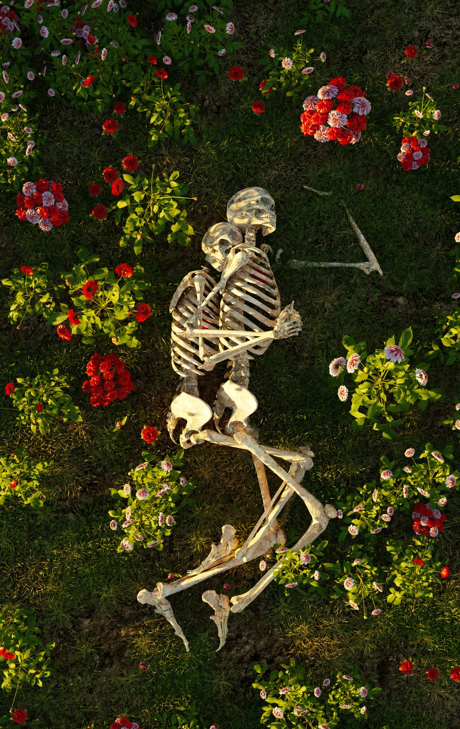 The Meadow