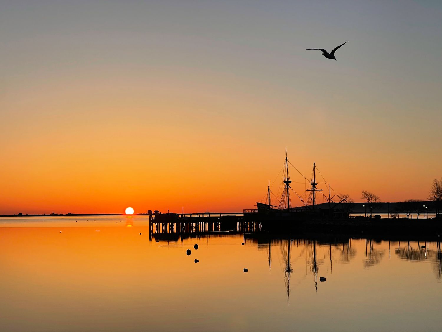 Plymouth Sunrise