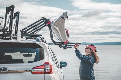 Kayak carrier