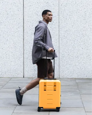 Travel bags