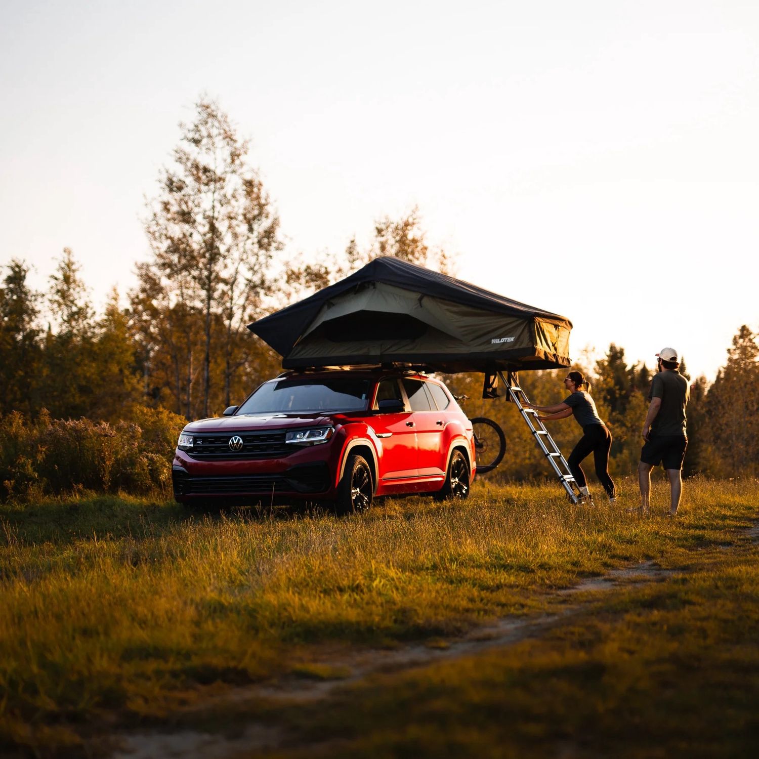 WildTek Sequoia - Large