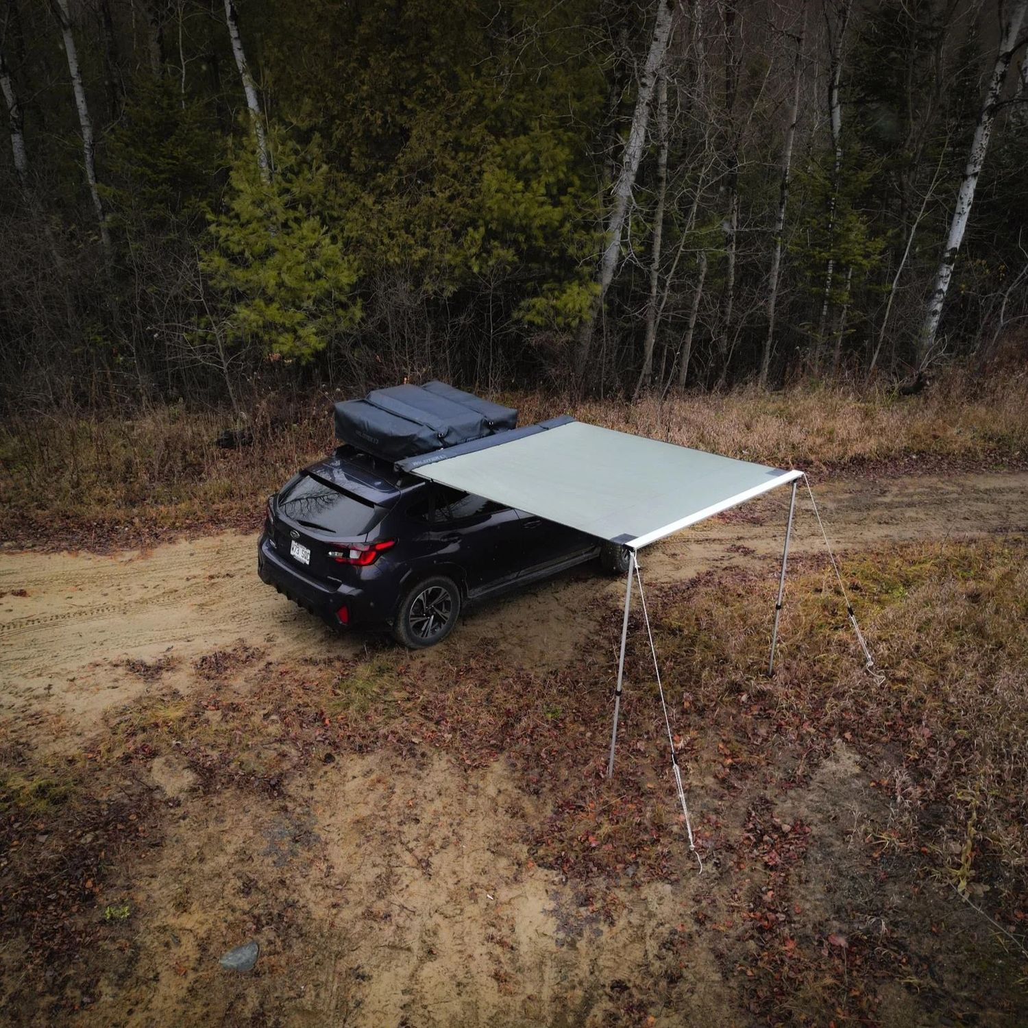 WildTek Auvent 180 Medium