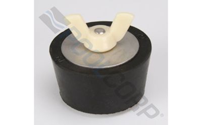 2&quot; PIPE WINTER TEST PLUG