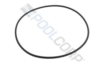 SwimClear Lid O-Ring