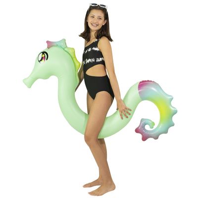 Seahorse Ride-On Pool Noodle