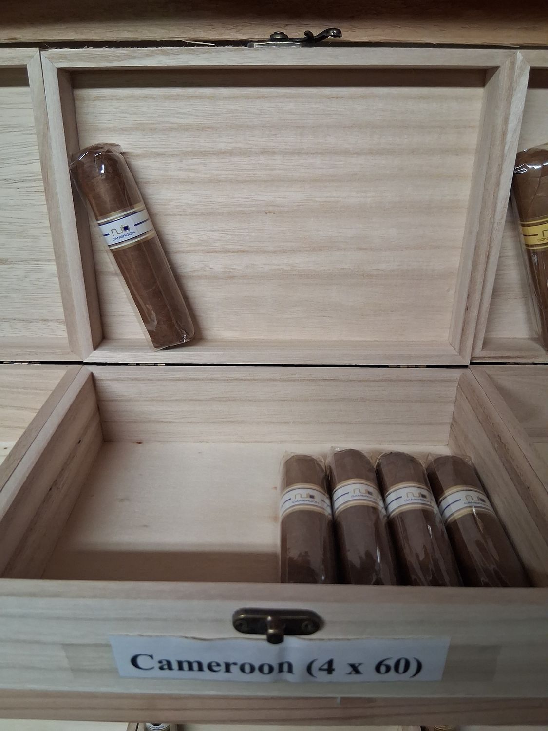 Nub Cameroon - 4x60
