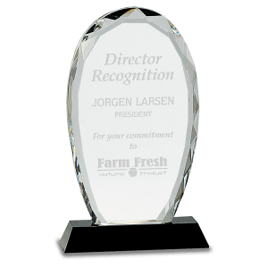 Large Oval Facet Crystal on Black Pedestal Base