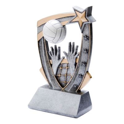 3D Star Resin, Volleyball