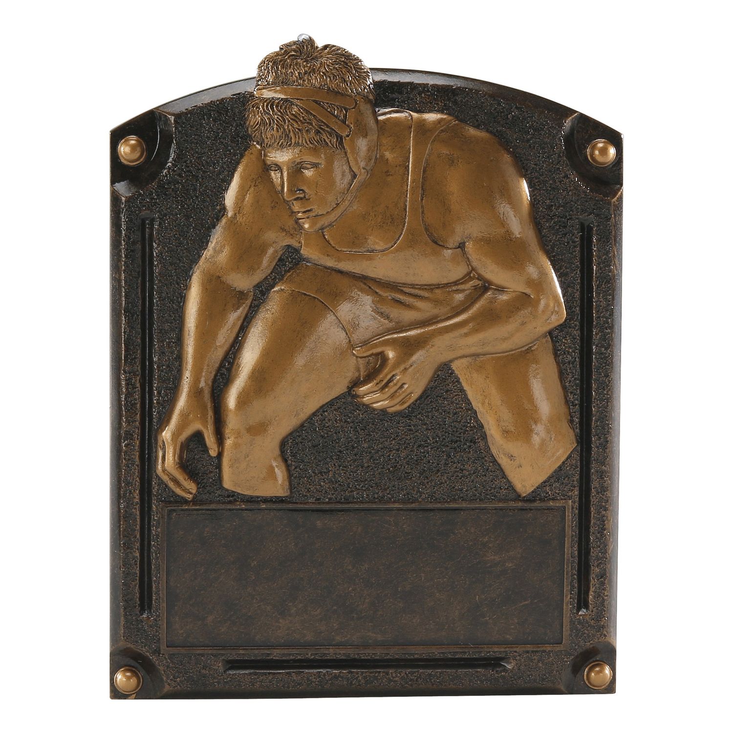 Legends of Fame Resin, Wrestling