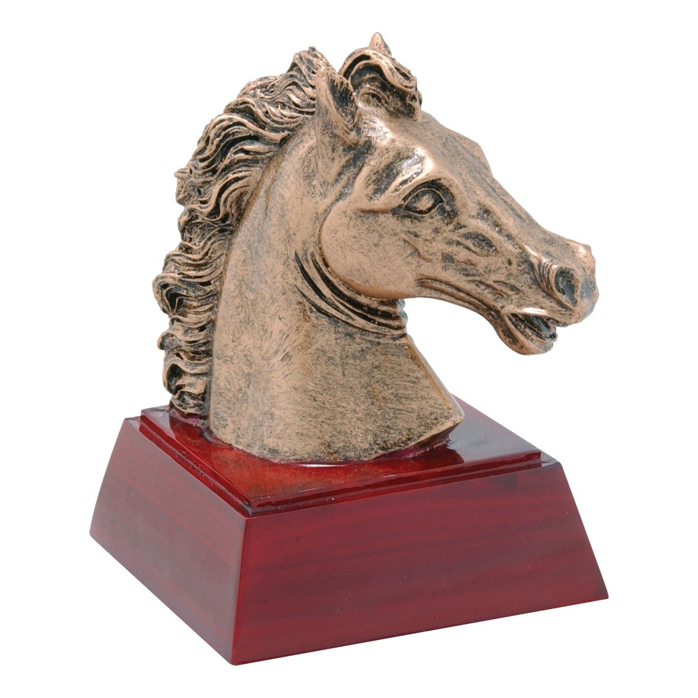 RS Resin, Horse