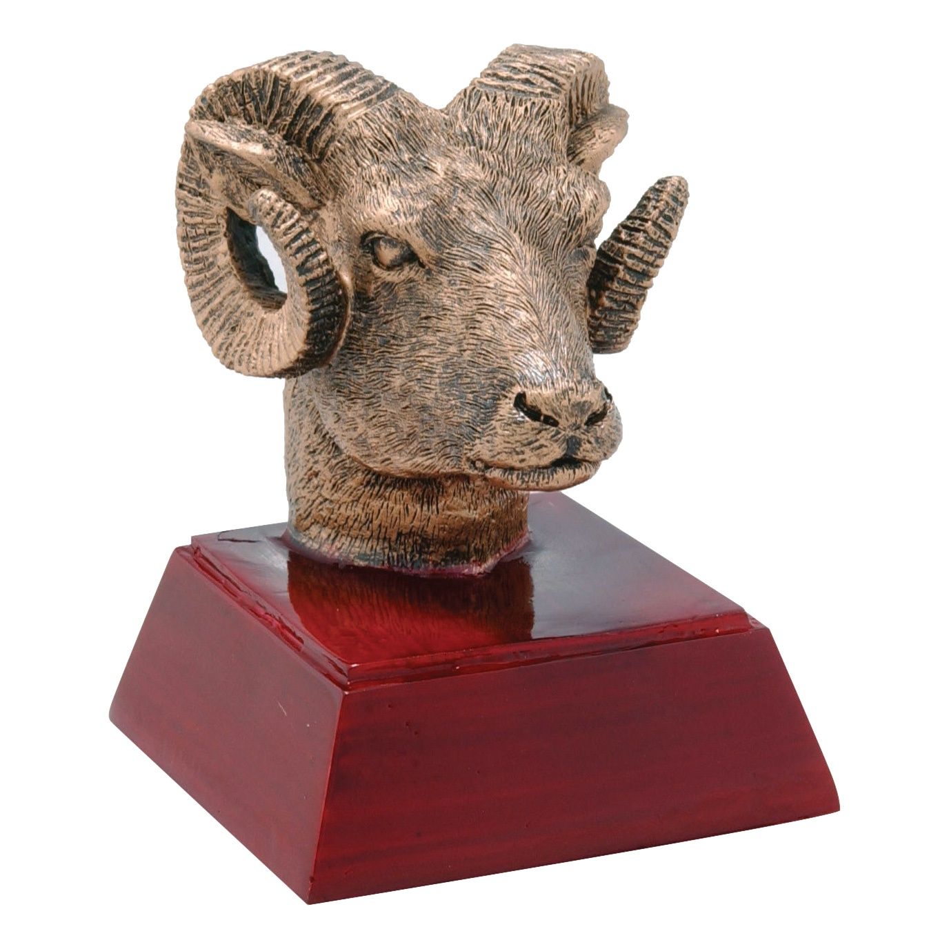 RS Resin, Ram