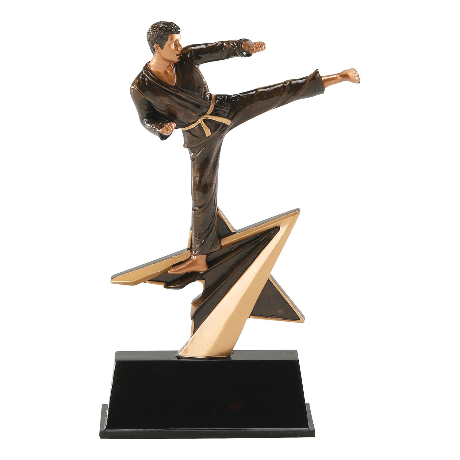 Star Power Sport Resin, Karate