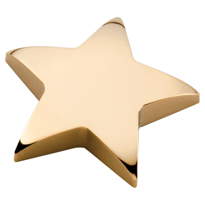 Gold Metal Star Paperweight