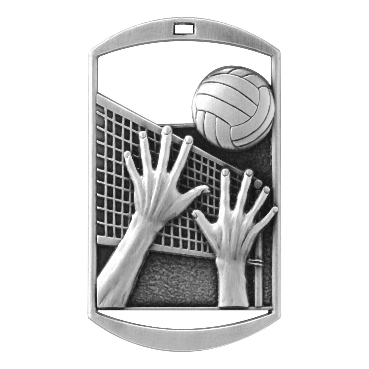 DT Medal, Volleyball, Silver
