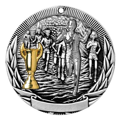 Tri-Colored Medal, Cross Country, Silver